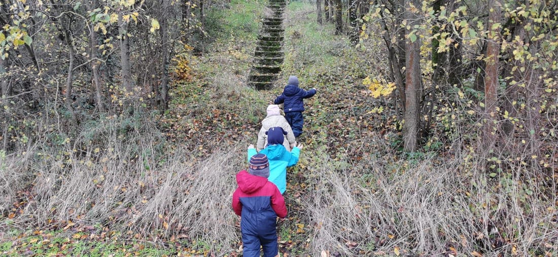 Vier Kinder wandern hintereinander einen Waldpfad mit alter Steintreppe hinauf
